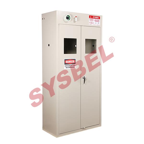 Gas Cylinder Storage Cabinet(2-Cylinder)