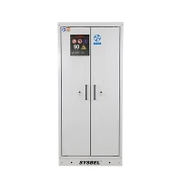90-Minute Double EN 14470-2 90-Minute Fire-Restant Gas Cylinder Cabinet